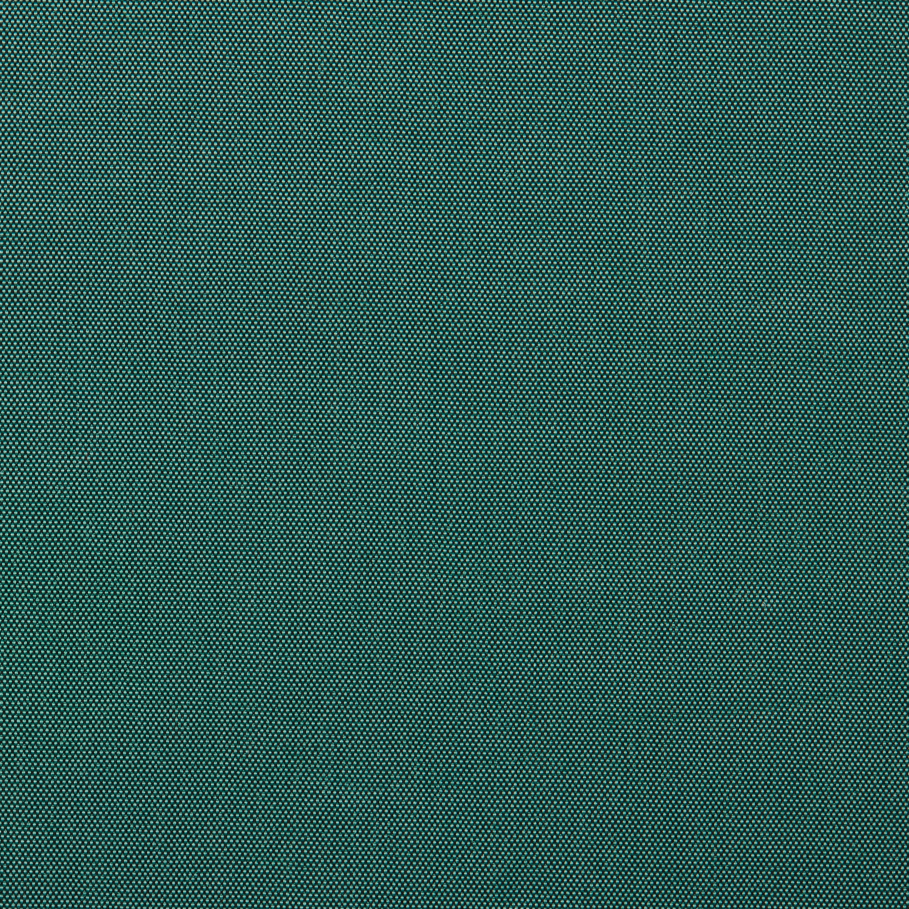 19638